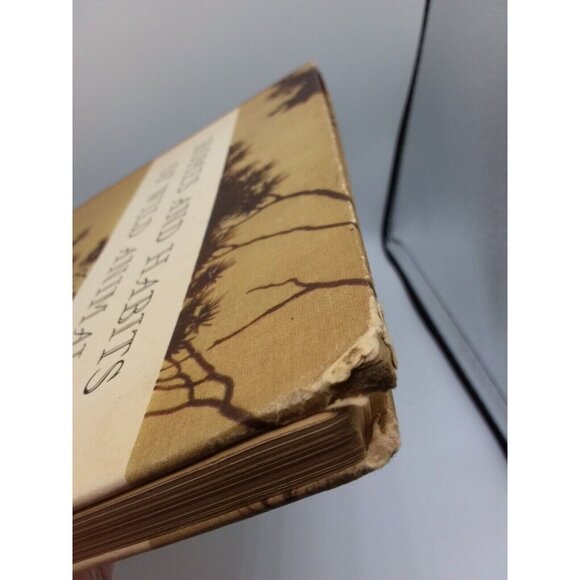 1934 Homes and Habits of Wild Animals Walter Weber Illustrations Children's Book - Picture 15 of 16